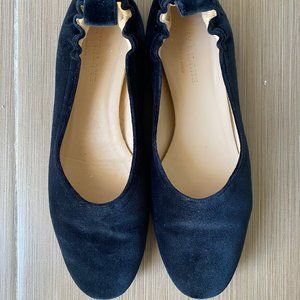 Everlane Day Glove in Navy Suede
